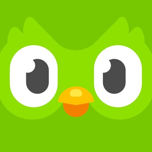 Abonnement Duolingo Super - Plan Familial Annuel